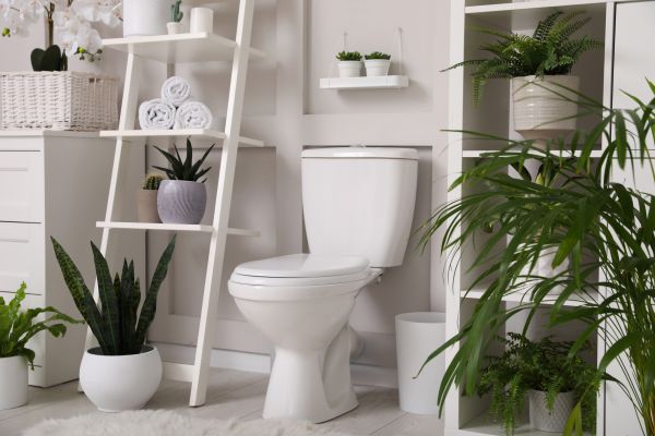 Cost of Toilet Repair in Sun City West