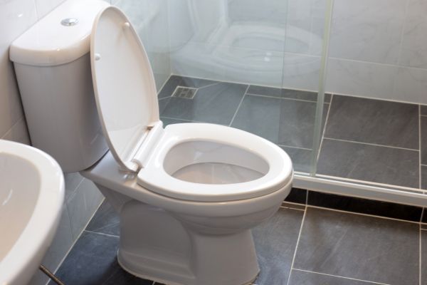 Toilet Replacement in Sun City West
